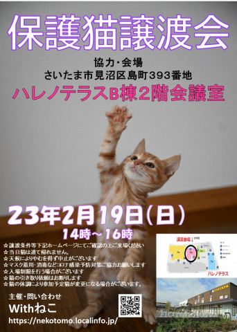 【さいたま市見沼区】2/19(日)ハレノテラス保護猫譲渡会