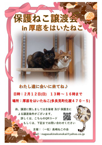 保護ねこ譲渡会 in 厚底をはいたねこ