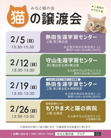 保護猫譲渡会/名古屋市守山区