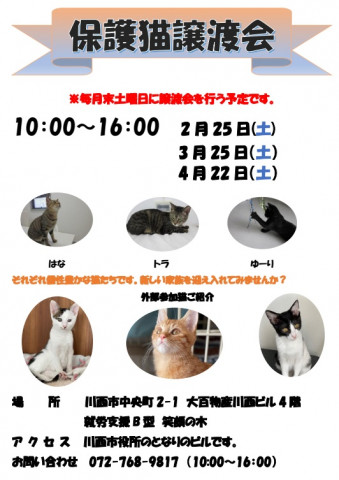 保護猫譲渡会