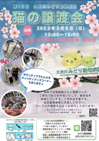 猫の譲渡会❤️久米川みどり動物病院（雨天決行）