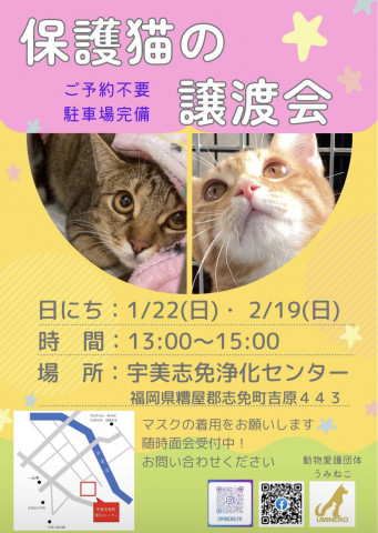 保護猫の譲渡会