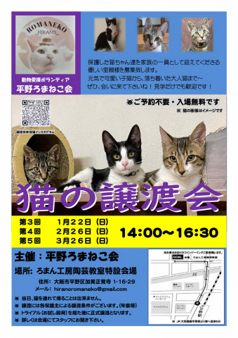 平野ろまねこ譲渡会