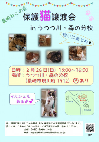 保護ねこ譲渡会 inうつつ川･森の分校