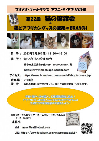 猫の譲渡会&猫とアフリカングッズの販売