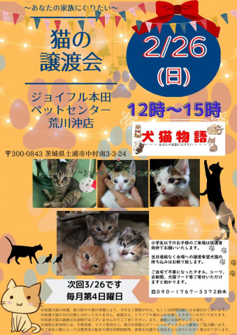 猫の譲渡会～あなたの家族になりたい～ 