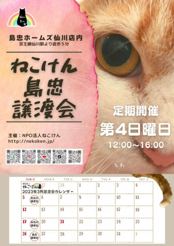 [島忠仙川店]ねこけん譲渡会