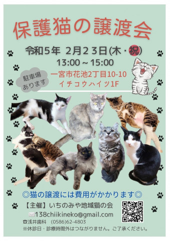 保護猫の譲渡会in一宮市