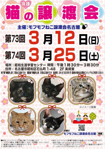 猫の譲渡会　in　名古屋市昭和生涯学習センター