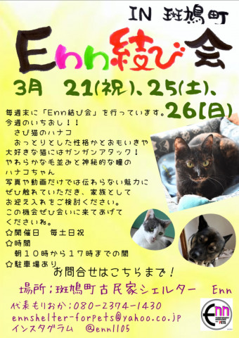 Enn結び会