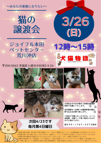 猫の譲渡会～あなたの家族になりたい～   