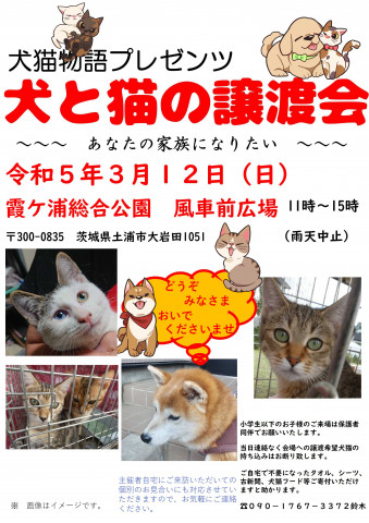 犬と猫の譲渡会～あなたの家族になりたい～    