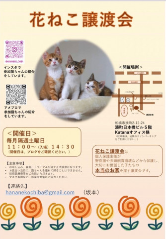 花ねこ譲渡会