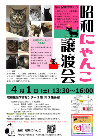 昭和にゃんこ譲渡会　in　名古屋市昭和区