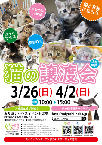 15匹ねこねこ譲渡会★愛知県みよし市