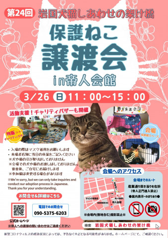 第２４回保護ねこ譲渡会