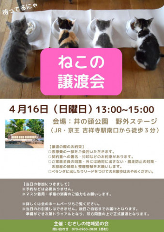 むさしの地域猫の会　譲渡会