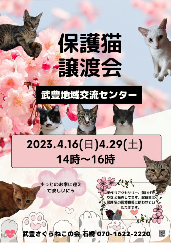 武豊さくらねこの会譲渡会