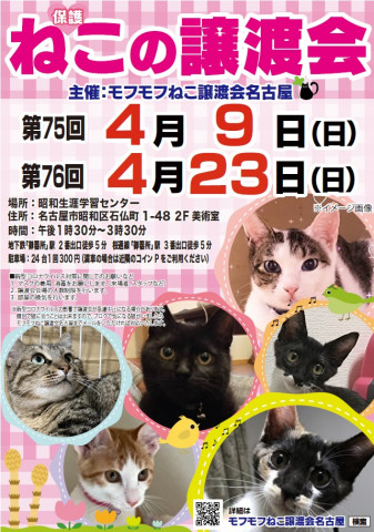 猫の譲渡会　in　名古屋市昭和生涯学習センター