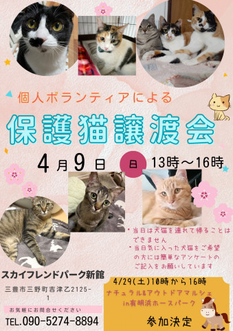 保護猫譲渡会