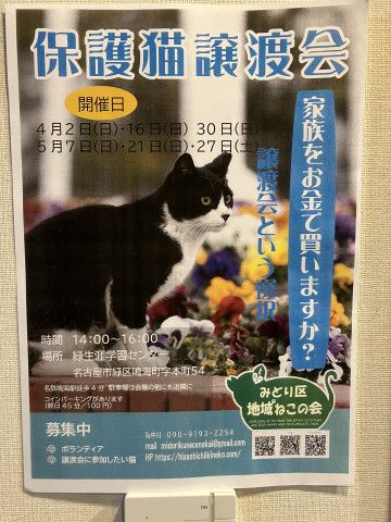 名古屋市緑区猫の譲渡会