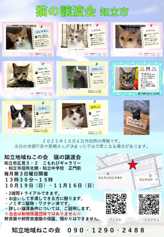 知立地域ねこの会　猫の譲渡会