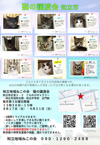 知立地域ねこの会　猫の譲渡会