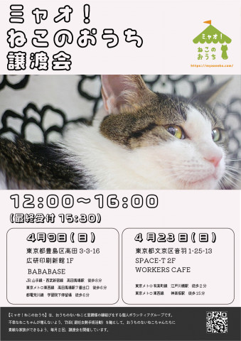 ミャオねこ譲渡会◆高田馬場