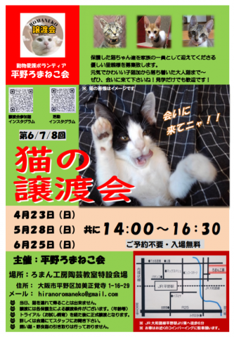 第６回平野ろまねこ譲渡会