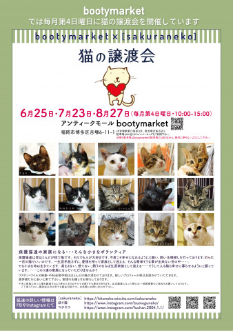 Bootymarket × [sakuraneko] 猫の譲渡会