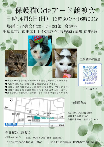 保護猫Ödeアード譲渡会