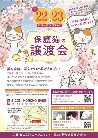 保護猫の譲渡会