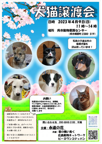 犬猫譲渡会