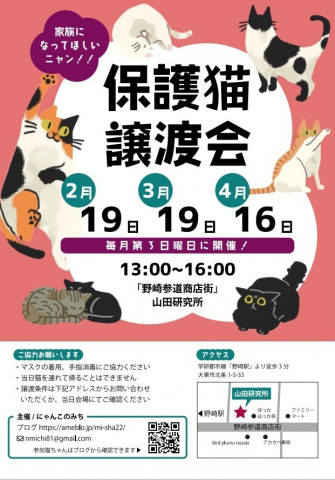 【野崎参道商店街】第36回保護猫の譲渡会