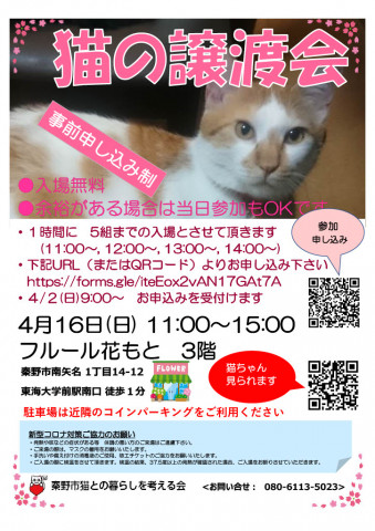 猫の譲渡会＠秦野市