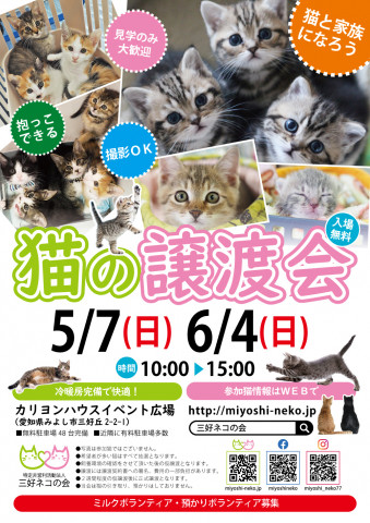 新顔子猫いるよ♪15匹ねこねこ譲渡会／愛知県みよし市