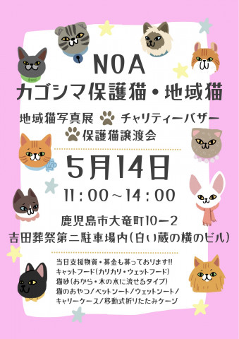 鹿児島保護猫・地域猫のためのイベント♪（譲渡会・地域猫写真展・チャリティーバザー）