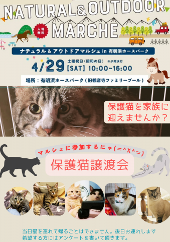 保護猫譲渡会　in マルシェ