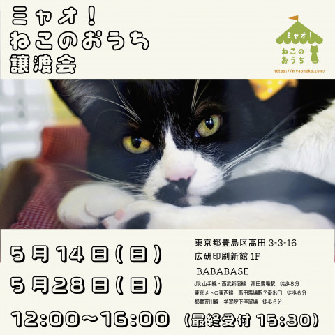 ミャオねこ譲渡会◆高田馬場