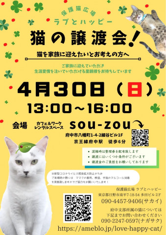 ラブとハッピー 猫の譲渡会