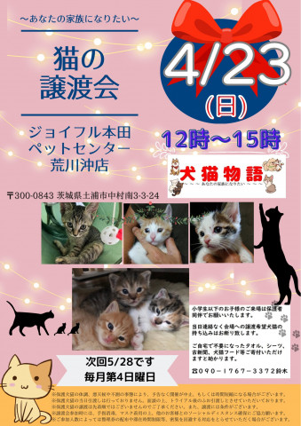 猫の譲渡会～あなたの家族になりたい～   