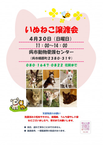 いぬねこ譲渡会