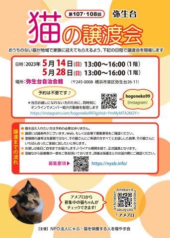 横浜市泉区　猫の譲渡会@相鉄線弥生台