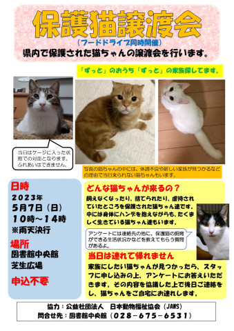 保護猫譲渡会 in 高根沢町