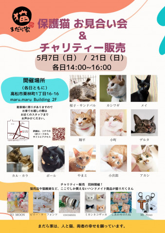 保護猫のお見合い会