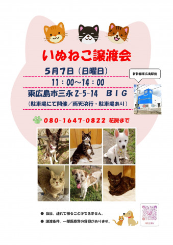 いぬねこ譲渡会