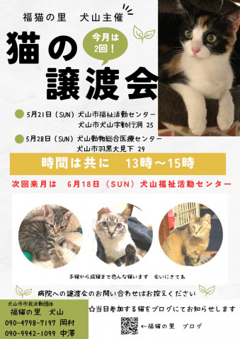 猫の譲渡会 @犬山市動物総合医療センター