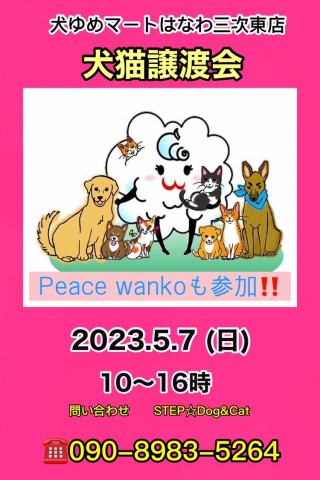 ゆめマート犬猫譲渡会