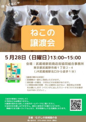 むさしの地域猫の会　譲渡会