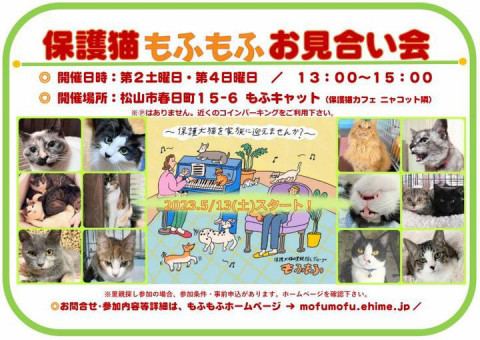 保護猫もふもふお見合い会